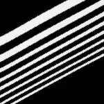 Schumacher 81573 Jessie Cut Velvet Black & White fabric swatch