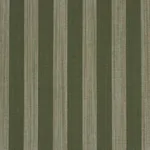 Schumacher 87260 Jonah Stripe Green fabric swatch