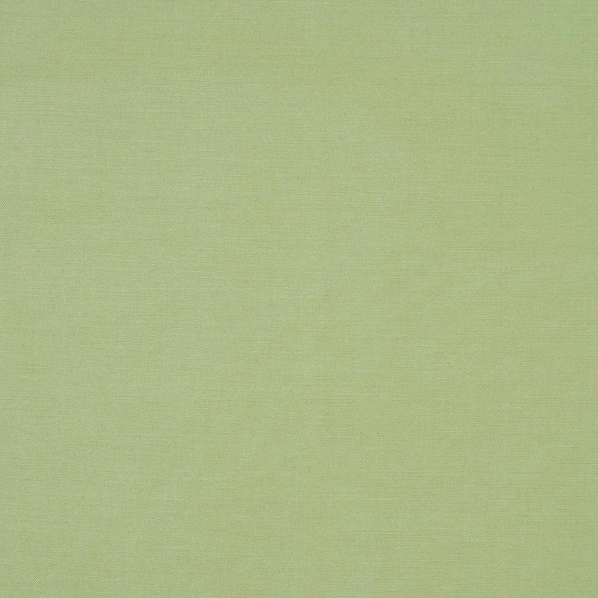 Schumacher 83744 Judy Texture Celadon fabric swatch