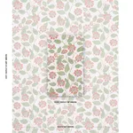 Schumacher 181000 Kava Cay Indoor/Outdoor Apricot fabric swatch