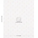Schumacher 181353 Kerala Paisley Blush fabric swatch