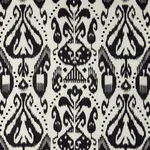 Schumacher 69482 Kiva Embroidered Ikat Raven fabric swatch