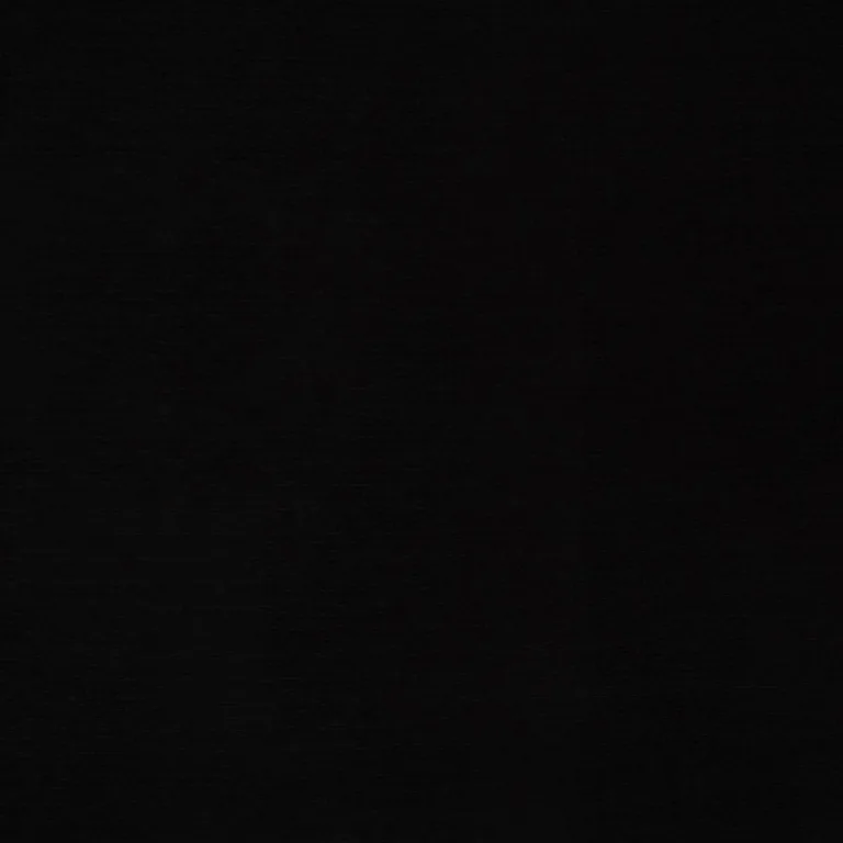Schumacher 70943 Lampedusa Indoor/Outdoor Black fabric swatch