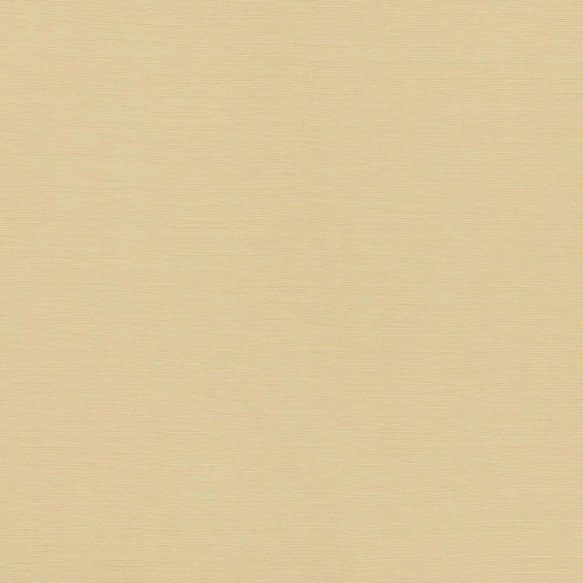 Schumacher 70941 Lampedusa Indoor/Outdoor Ecru fabric swatch