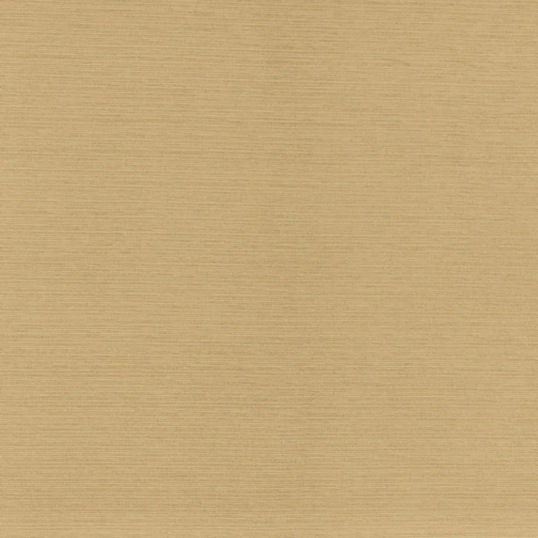 Schumacher 70942 Lampedusa Indoor/Outdoor Straw fabric swatch