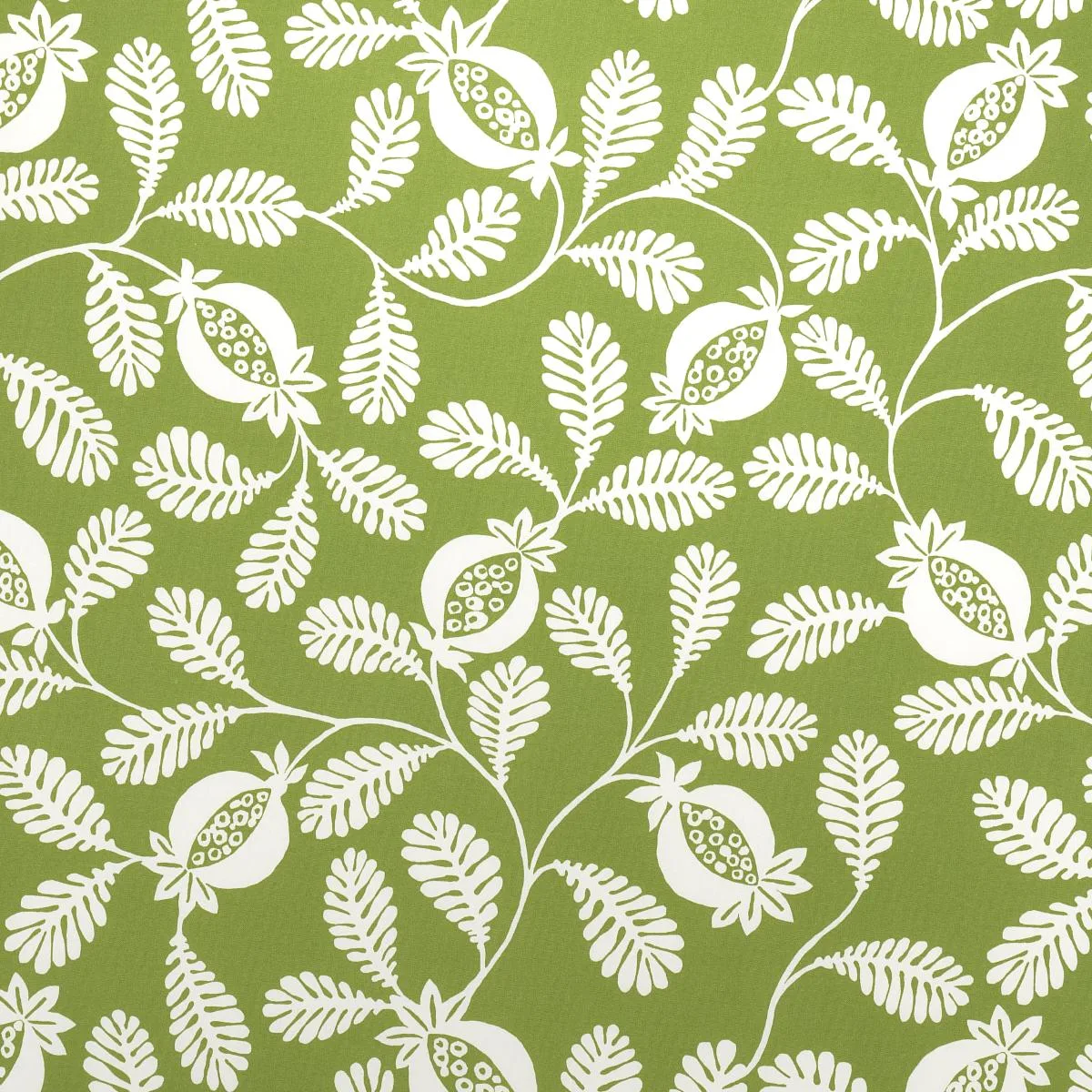 Schumacher 180991 Lanzadera Vine Indoor/Outdoor Honeydew fabric swatch