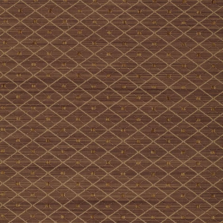 Schumacher 50405 Lasalle Mocha fabric swatch