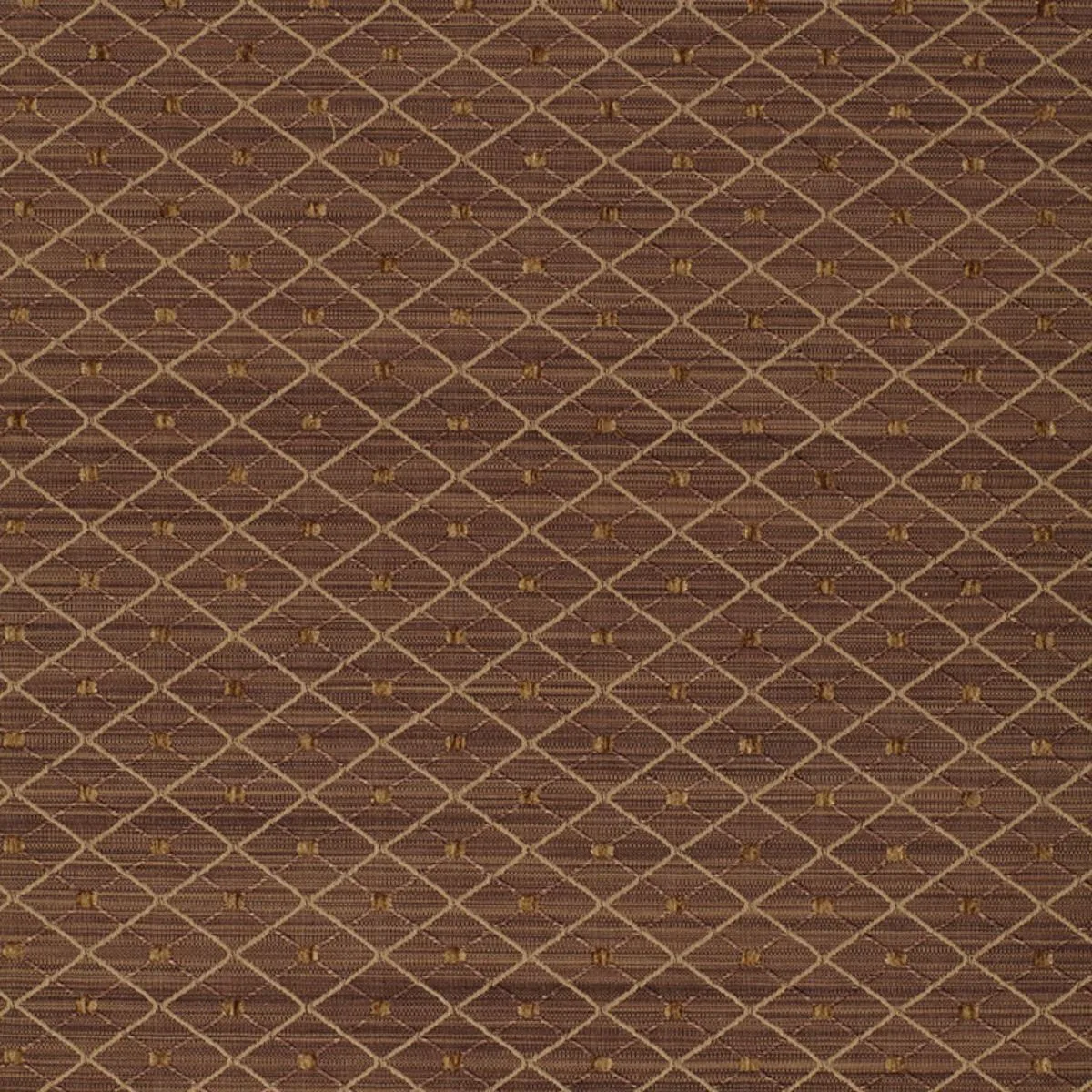 Schumacher 50405 Lasalle Mocha fabric swatch