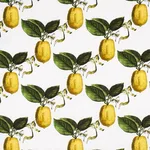Schumacher 180630 Le Citron Ivory fabric swatch