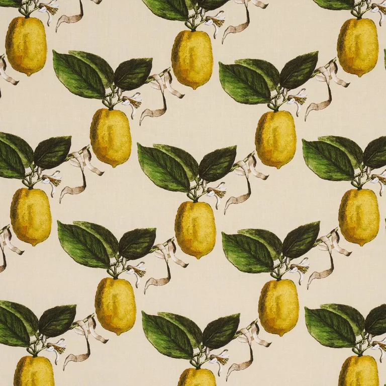 Schumacher 180632 Le Citron Natural fabric swatch