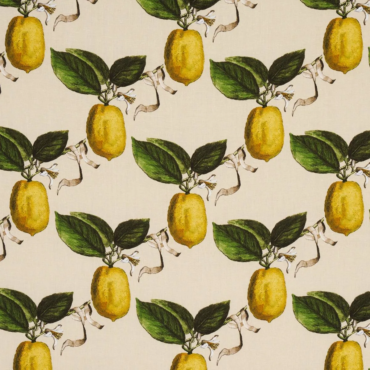 Schumacher 180632 Le Citron Natural fabric swatch