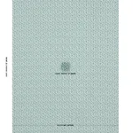 Schumacher 181721 Leonie Vermicelli Teal fabric swatch