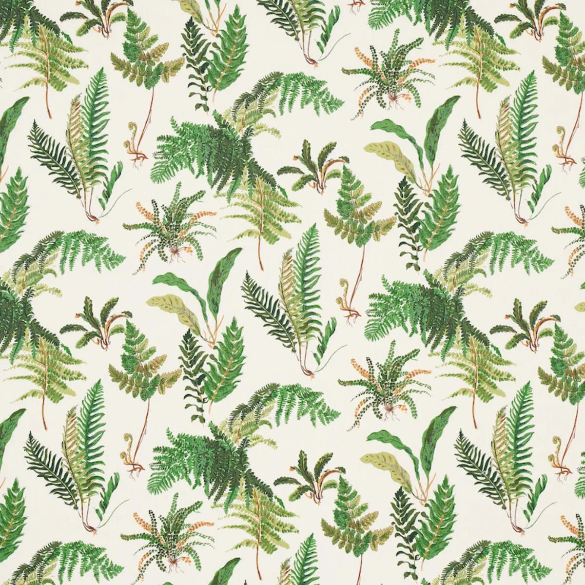 Schumacher 174090 Les Fougeres Document fabric swatch