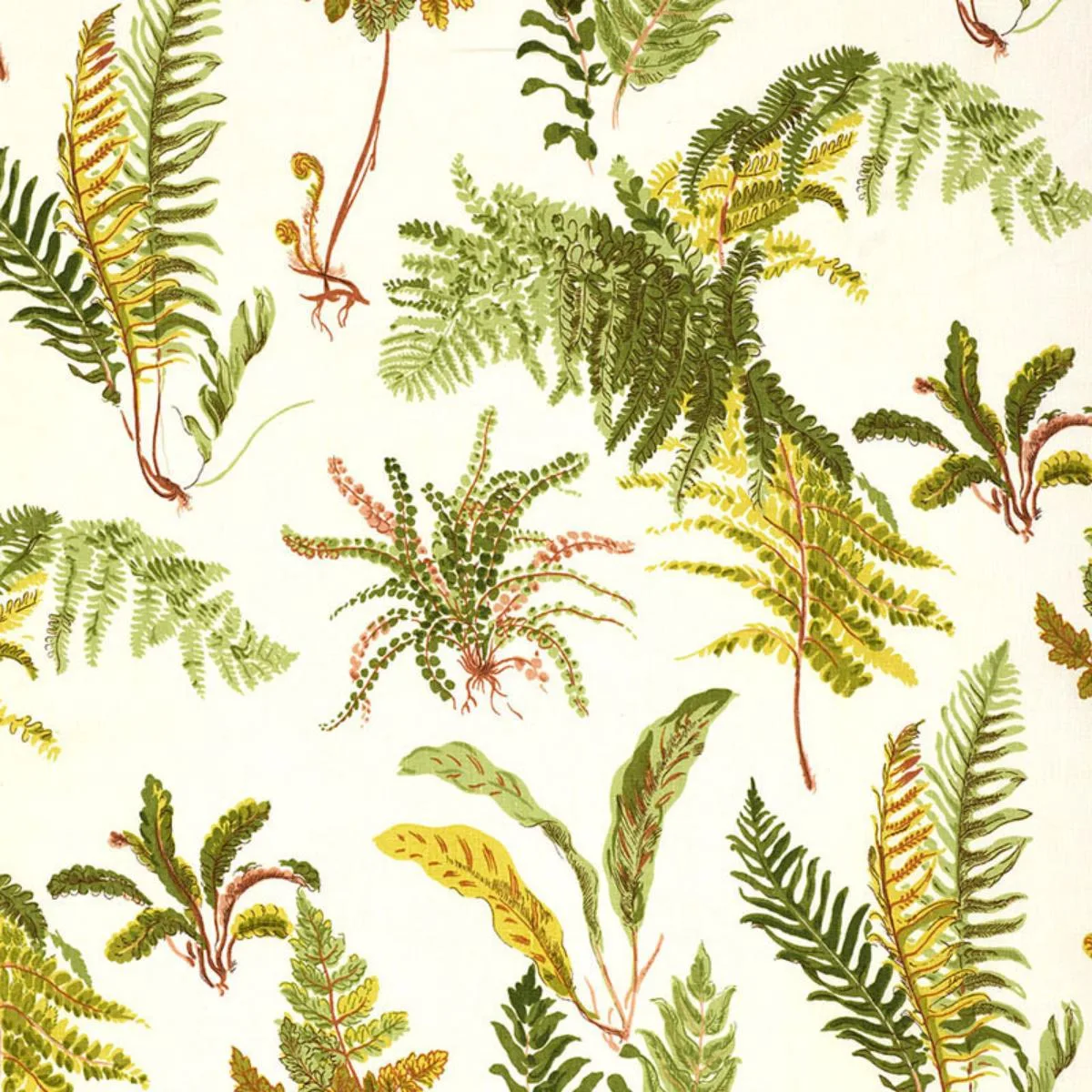 Schumacher 174091 Les Fougeres Spring fabric swatch