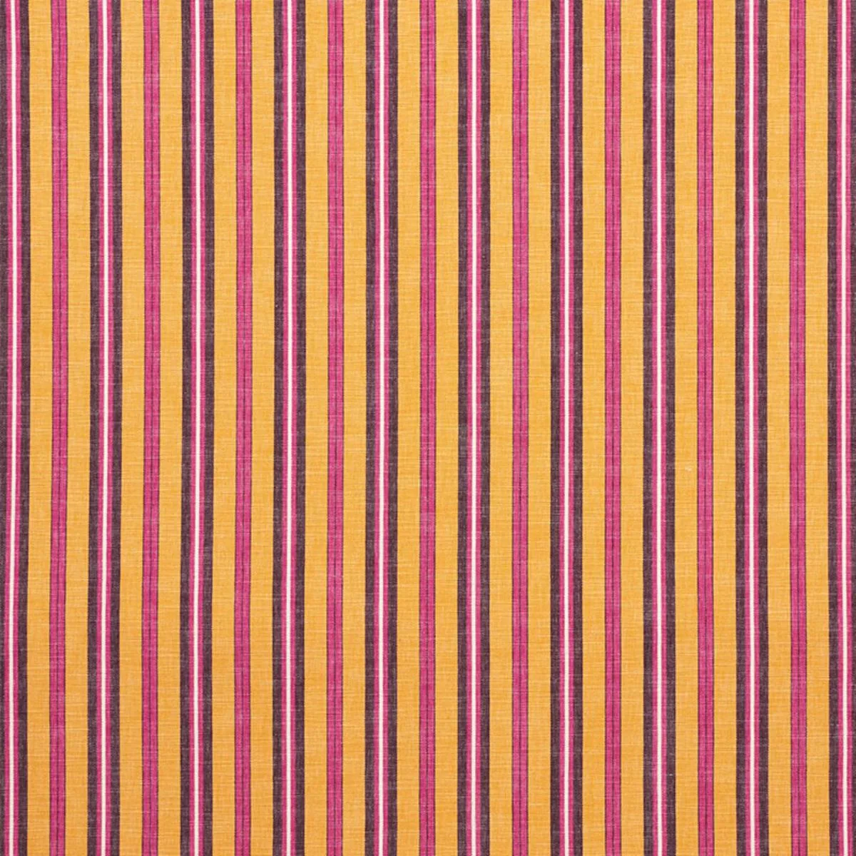 Schumacher 75502 Lewis Stripe Gold fabric swatch