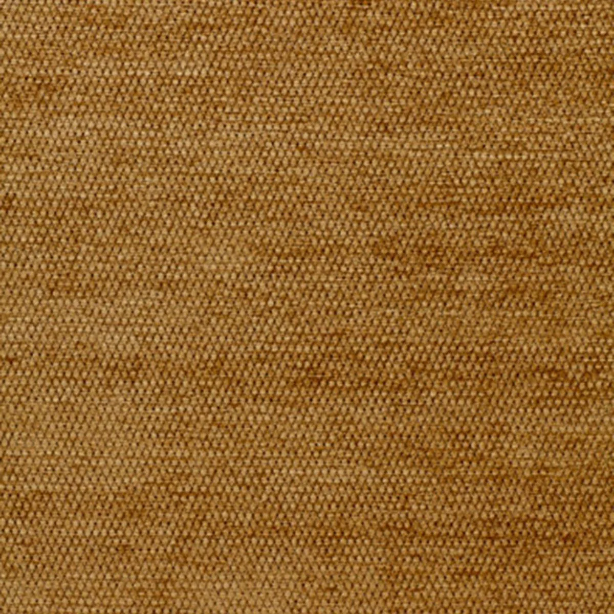 Schumacher 54712 Lia Coin fabric swatch