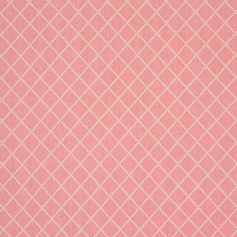 Schumacher 87172 Liam Coral fabric swatch