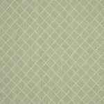 Schumacher 87170 Liam Sage fabric swatch