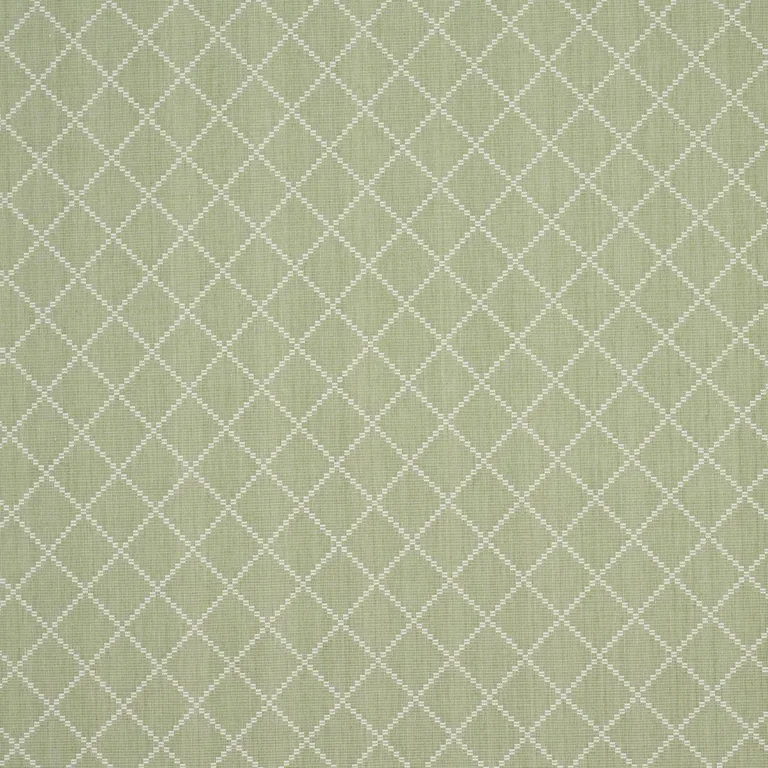 Schumacher 87170 Liam Sage fabric swatch