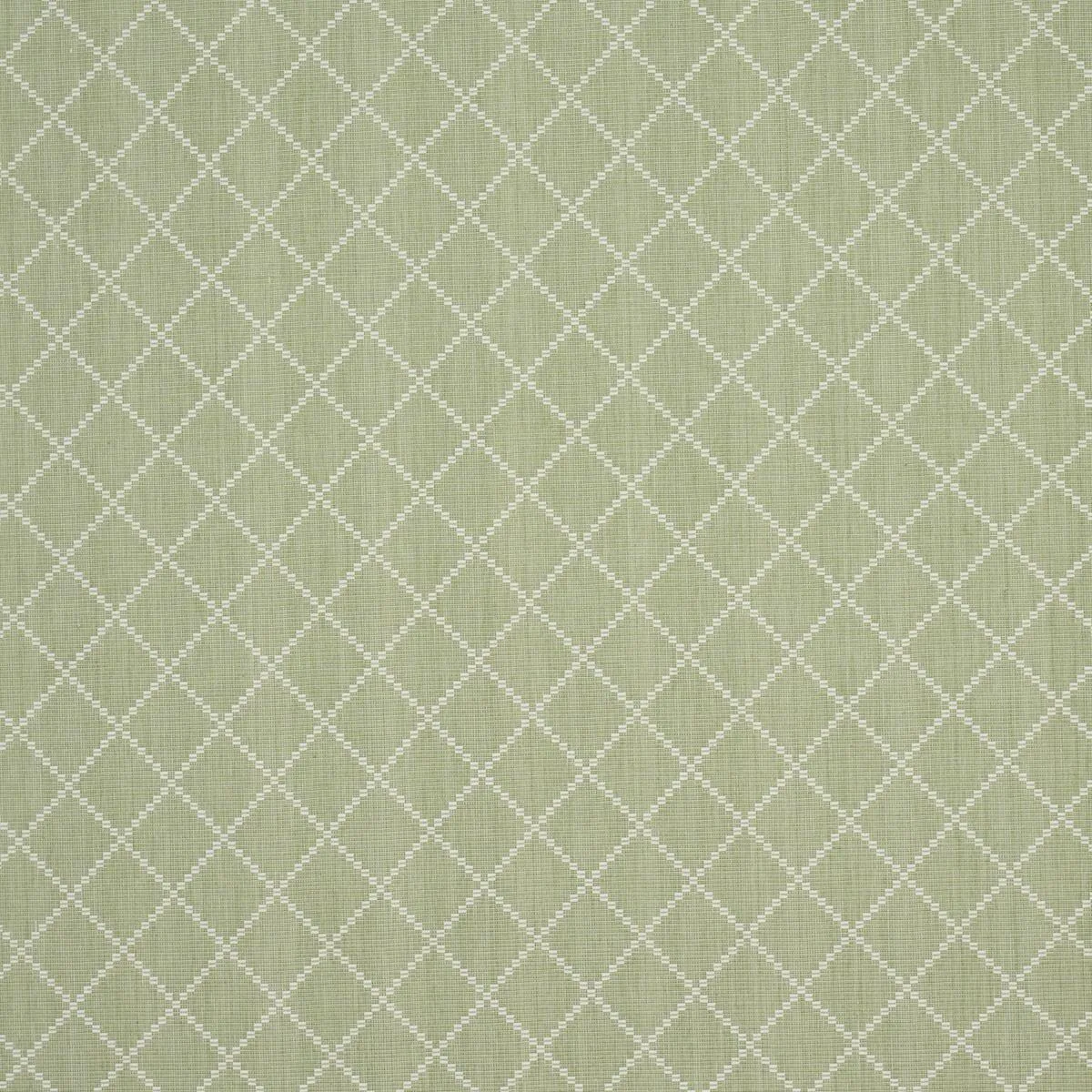 Schumacher 87170 Liam Sage fabric swatch