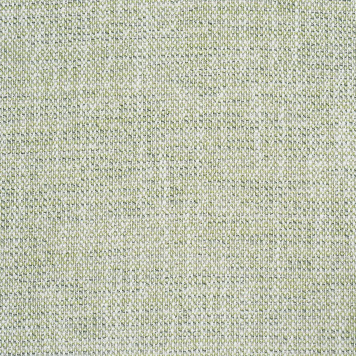 Schumacher 84225 Lily Indoor/Outdoor Sage fabric swatch