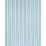 Schumacher 85763 Lincoln Small Stripe Robin's Egg fabric swatch