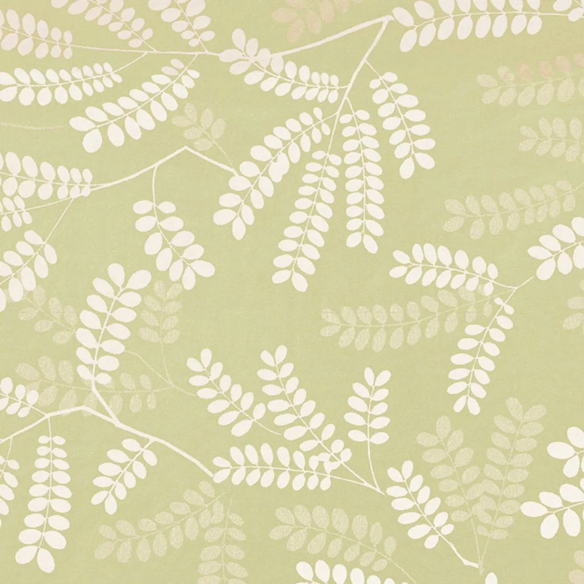Schumacher 62440 Locust Leaves Fern fabric swatch