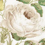 Schumacher 179630 Loudon Rose Ivory fabric swatch