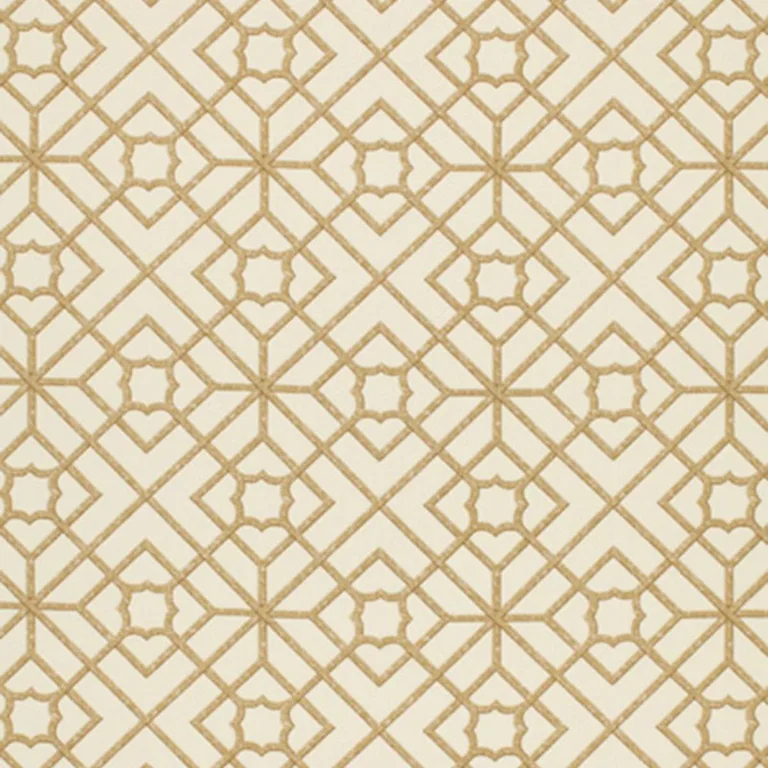 Schumacher 173490 Luan Fretwork Cane fabric swatch