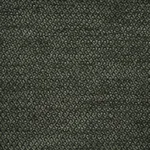 Schumacher 54388 Luana Alpine fabric swatch