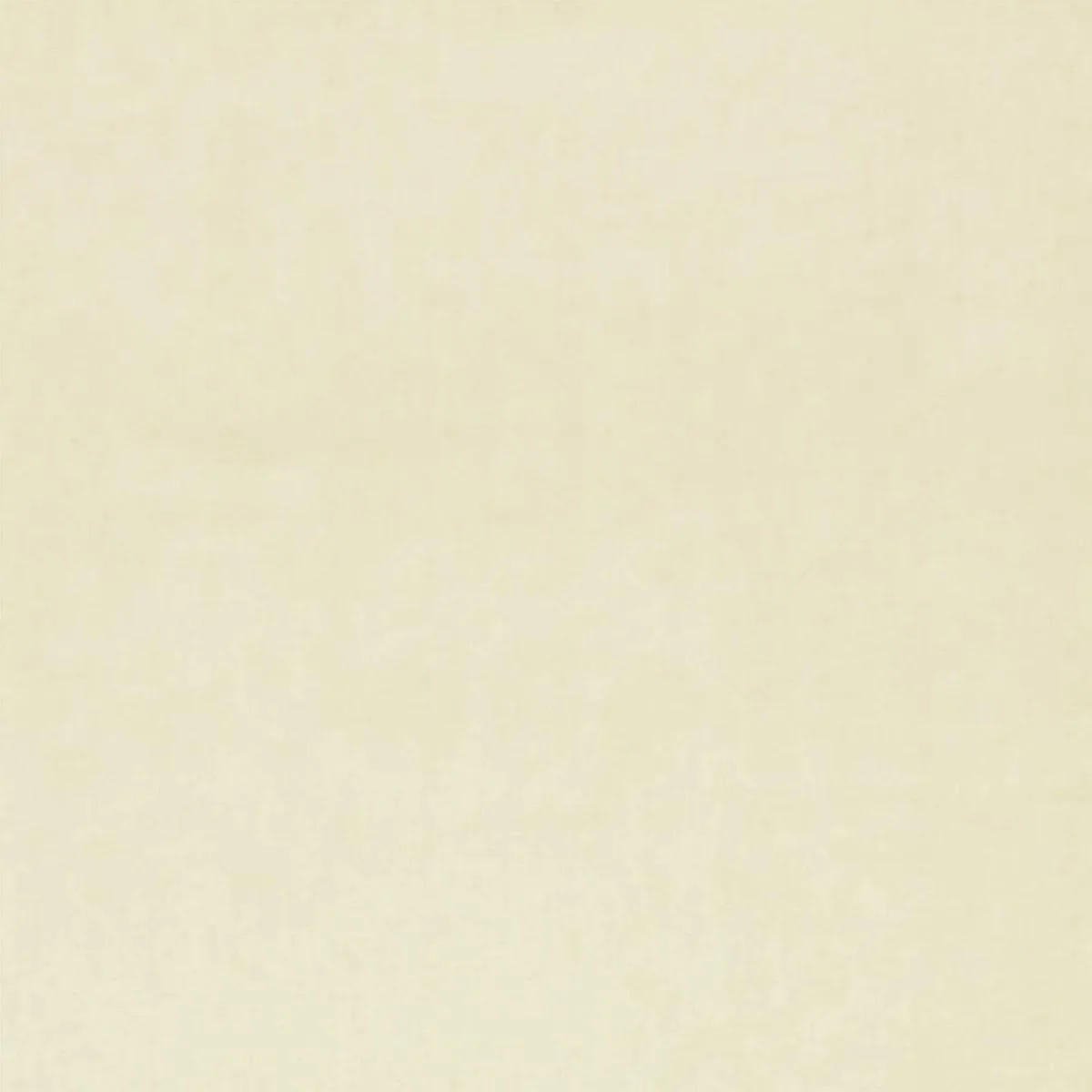 Schumacher 54381 Luana Ivory fabric swatch