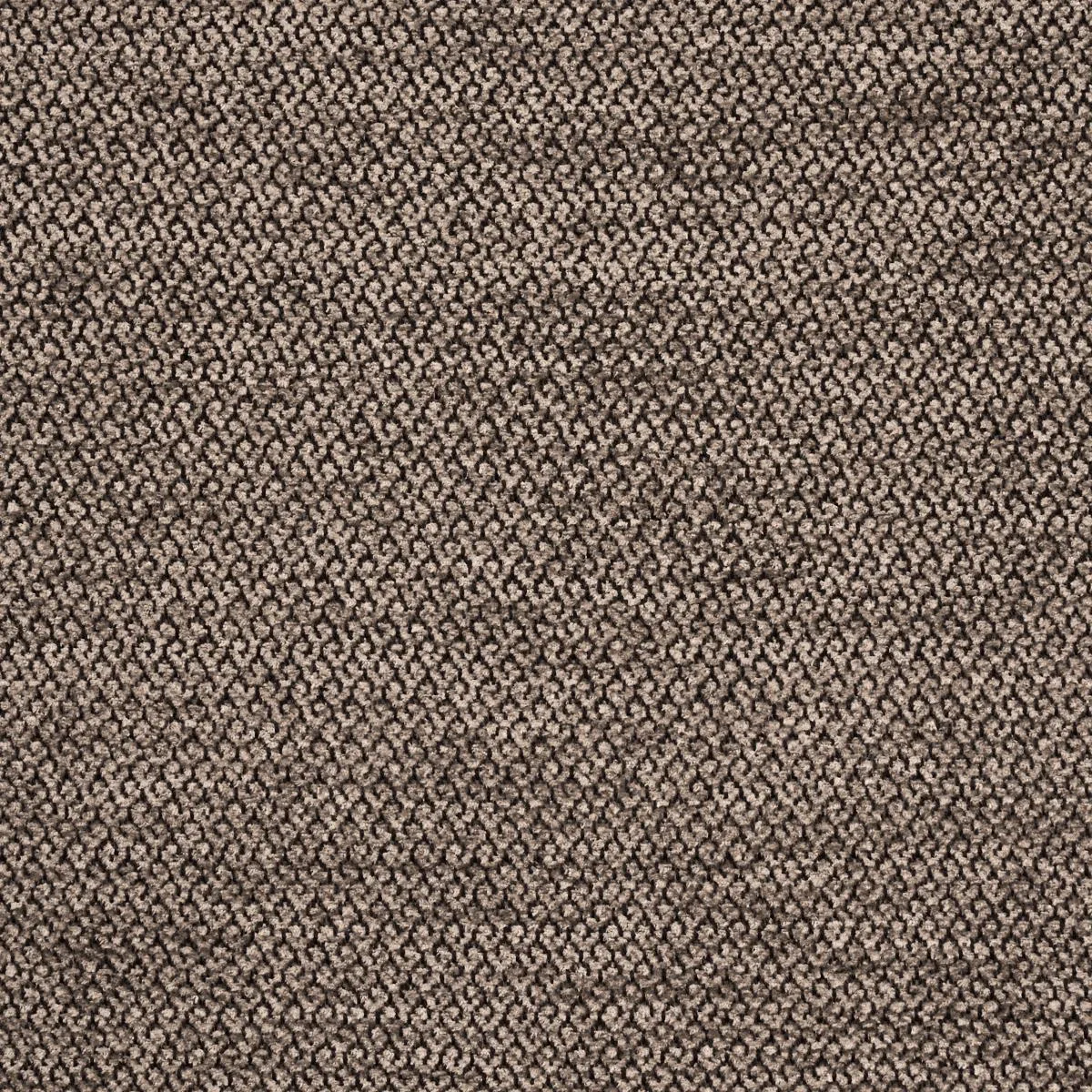 Schumacher 54384 Luana Mate fabric swatch