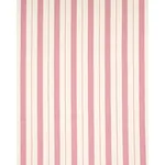 Schumacher 79095 Lubeck Stripe Pink fabric swatch