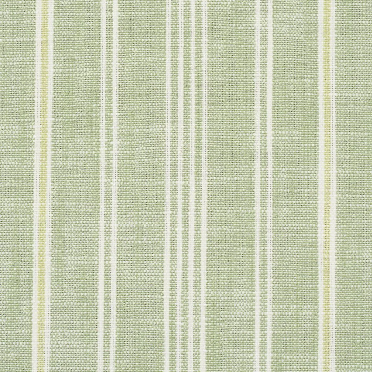 Schumacher 83714 Lucy Stripe Leaf Green fabric swatch