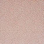 Schumacher 68828 Madeleine Velvet French Kiss fabric swatch
