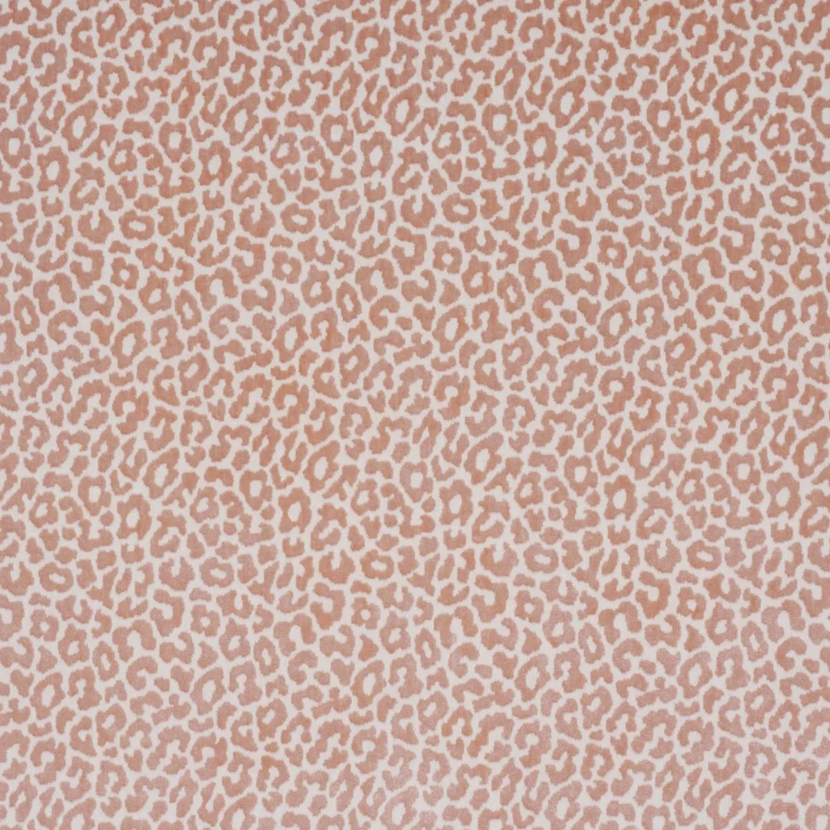 Schumacher 68828 Madeleine Velvet French Kiss fabric swatch