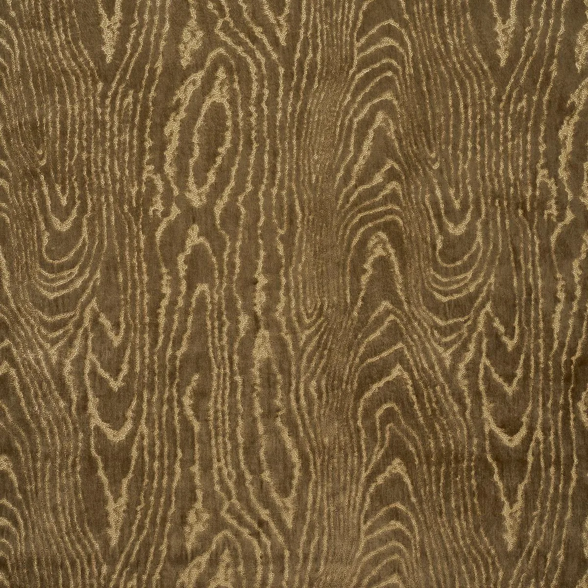 Schumacher 82750 Marisa Moire Velvet Camel fabric swatch