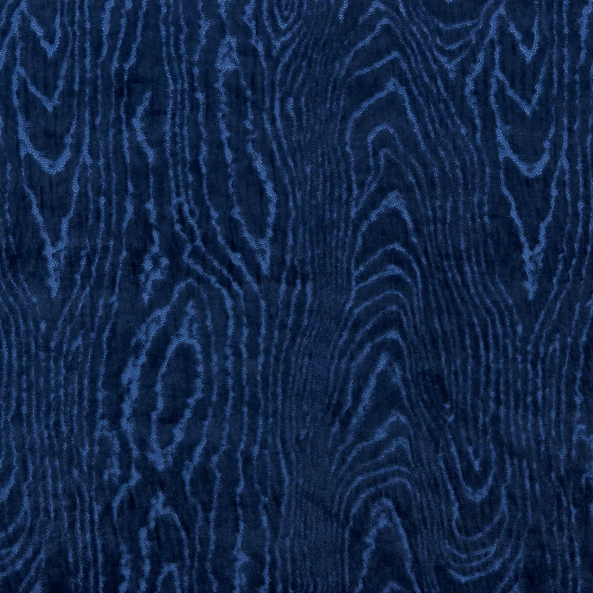 Schumacher 82752 Marisa Moire Velvet Lapis fabric swatch