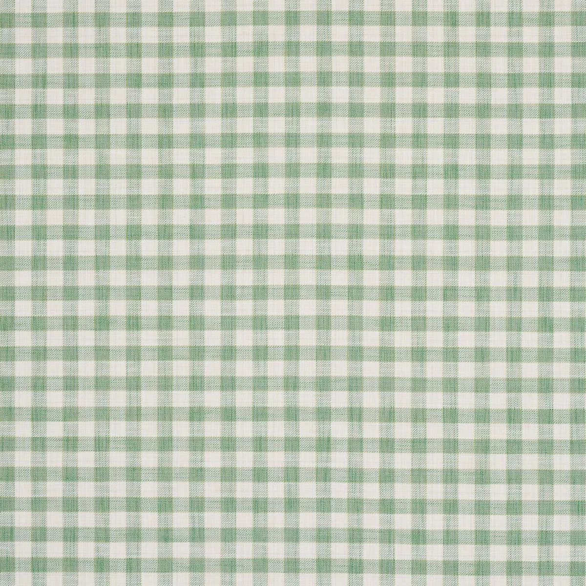 Schumacher 81411 Martina Plaid Indoor/Outdoor Green fabric swatch