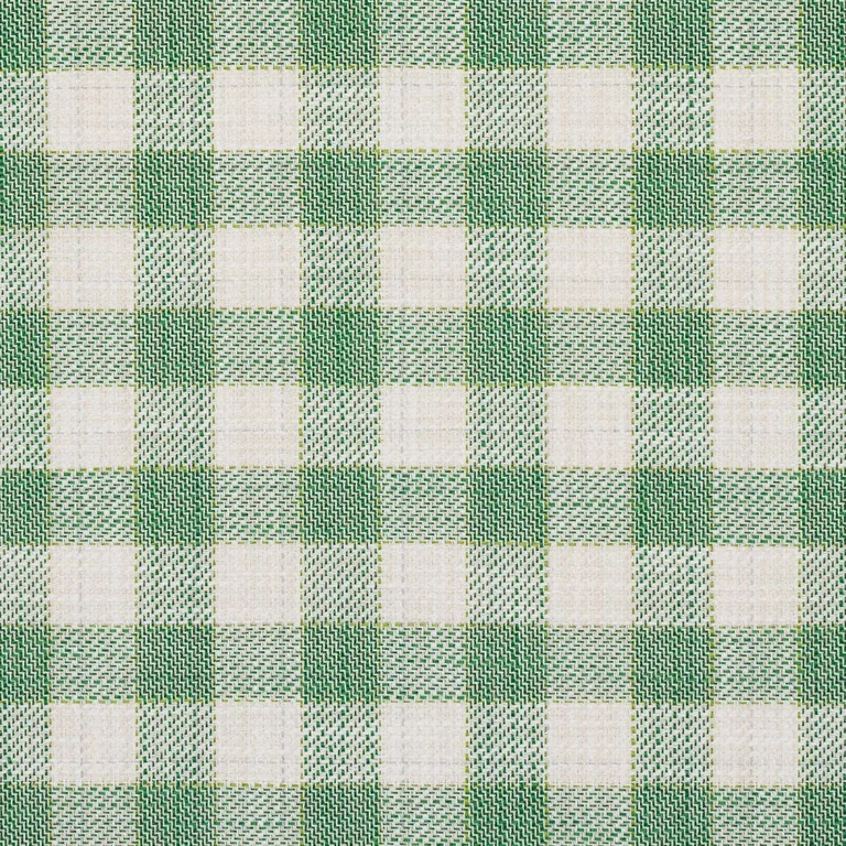 Schumacher 81411 Martina Plaid Indoor/Outdoor Green fabric swatch