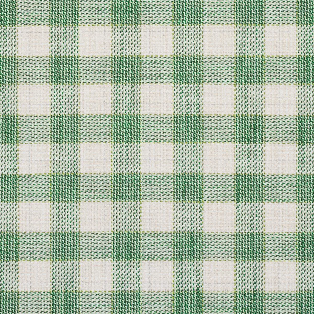 Schumacher 81411 Martina Plaid Indoor/Outdoor Green fabric swatch
