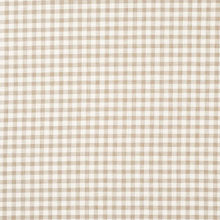 Schumacher 81412 Martina Plaid Indoor/Outdoor Natural fabric swatch