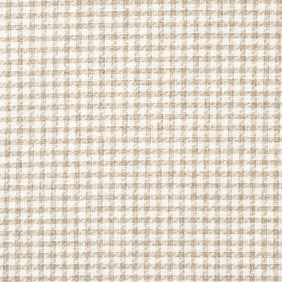Schumacher 81412 Martina Plaid Indoor/Outdoor Natural fabric swatch