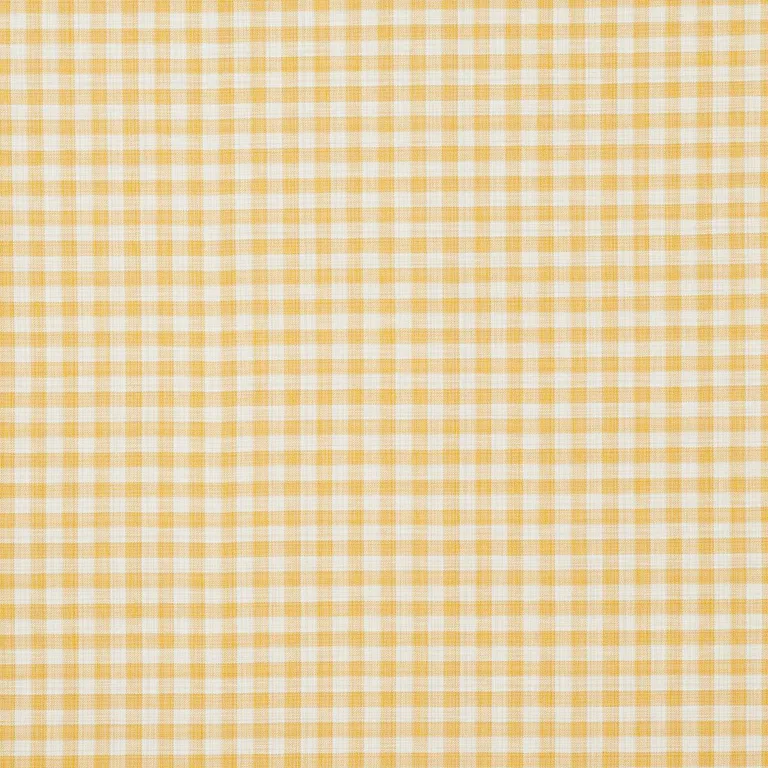 Schumacher 81413 Martina Plaid Indoor/Outdoor Yellow fabric swatch