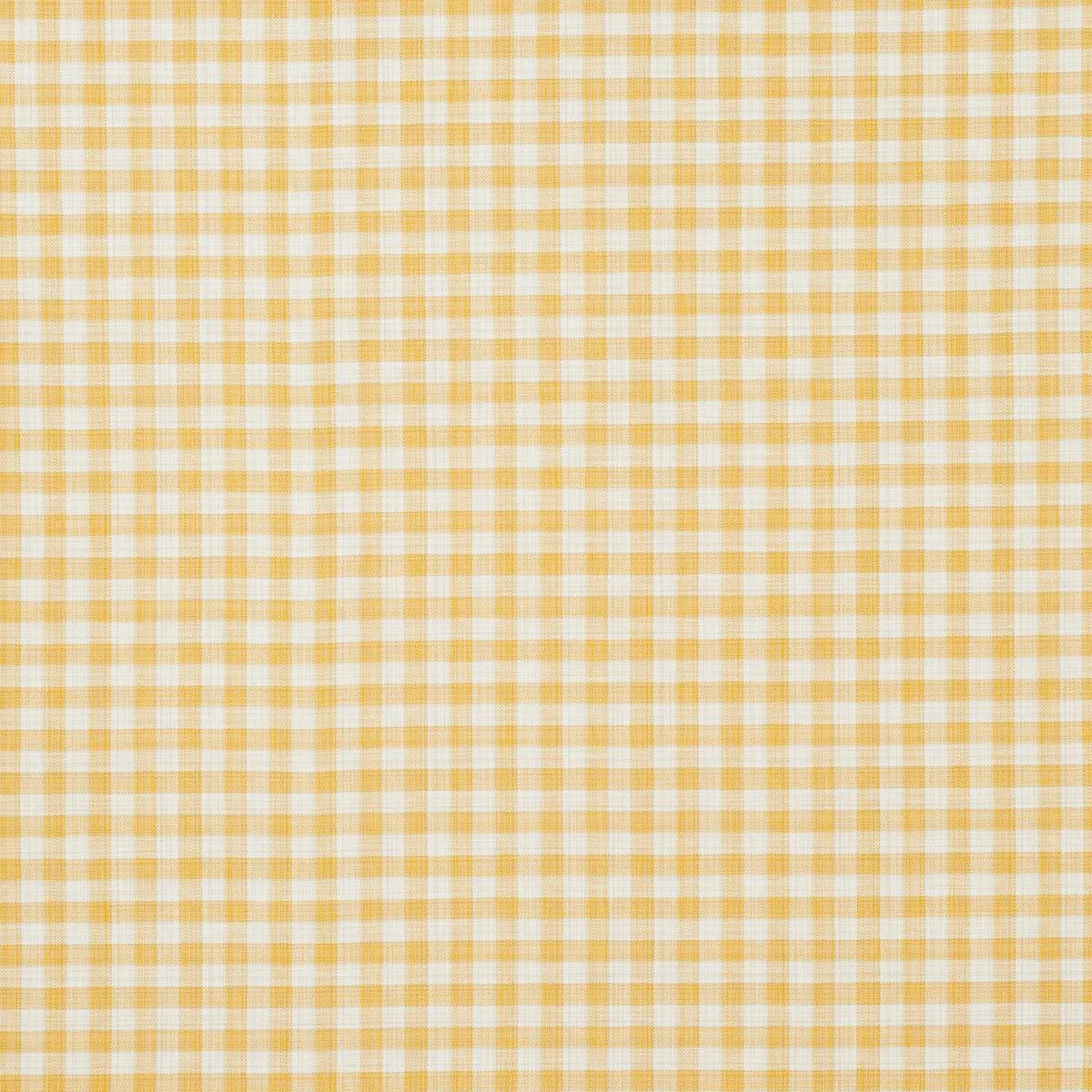 Schumacher 81413 Martina Plaid Indoor/Outdoor Yellow fabric swatch