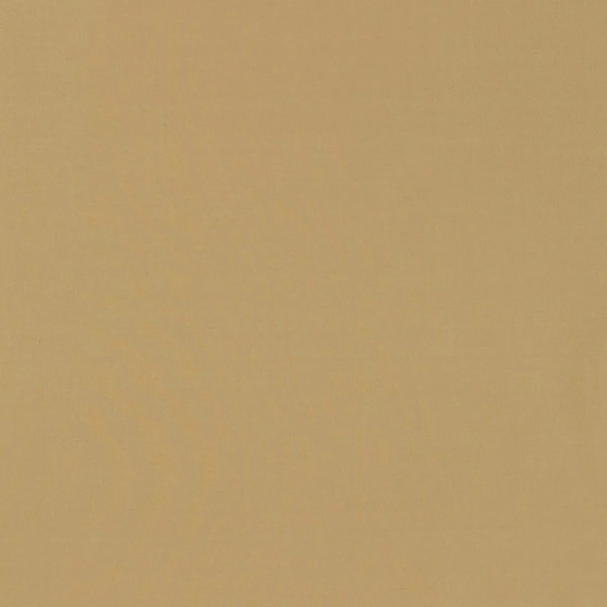 63908 Masaccio Taffeta Chamois Fabric