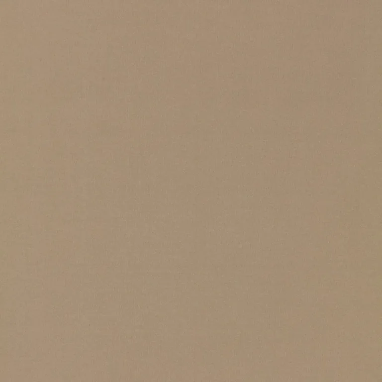 Schumacher 63901 Masaccio Taffeta Fawn fabric swatch