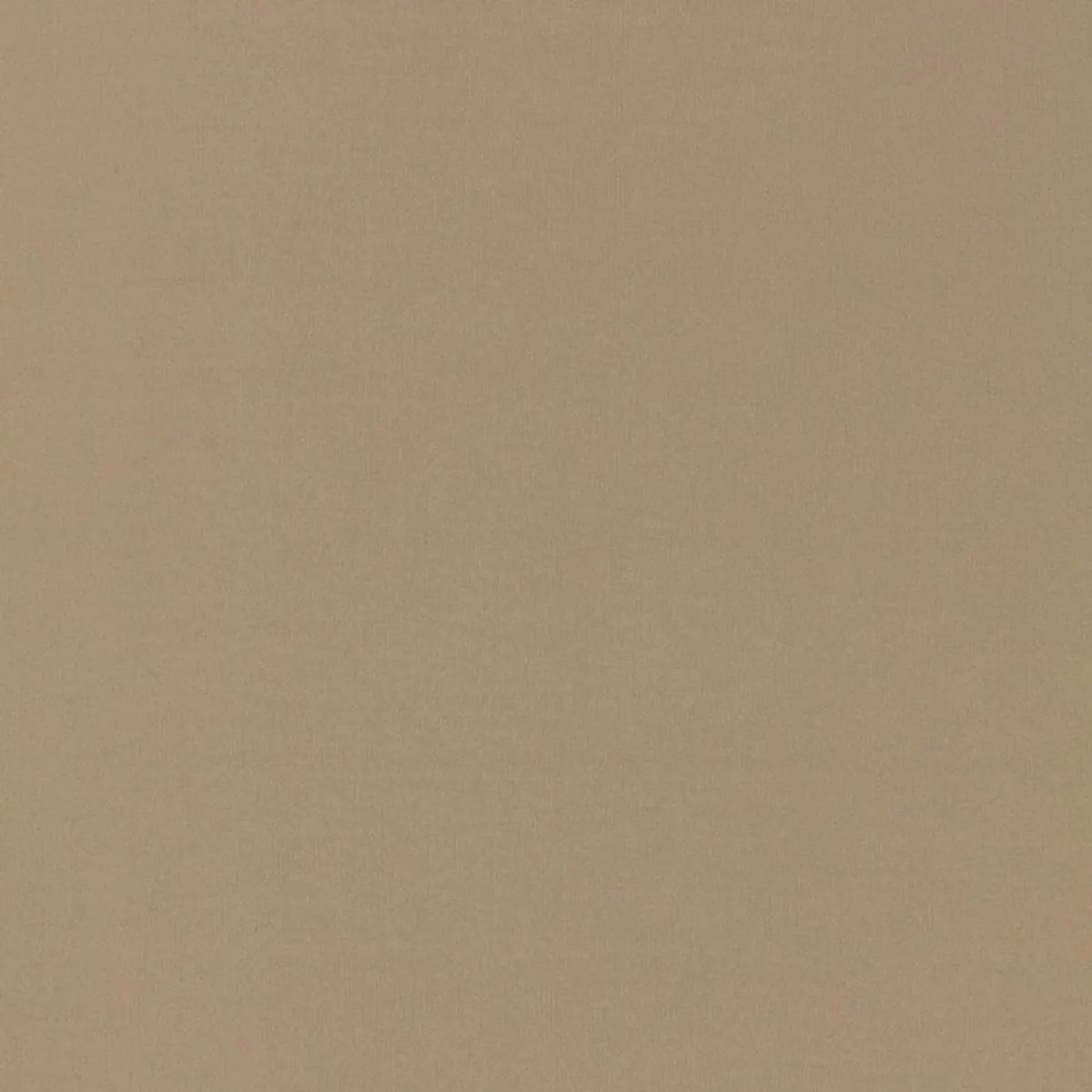 63901 Masaccio Taffeta Fawn Fabric