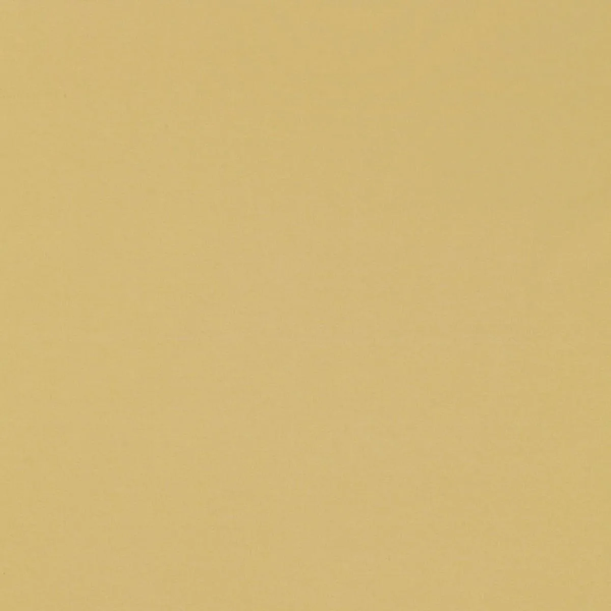 63927 Masaccio Taffeta Jonquil Fabric