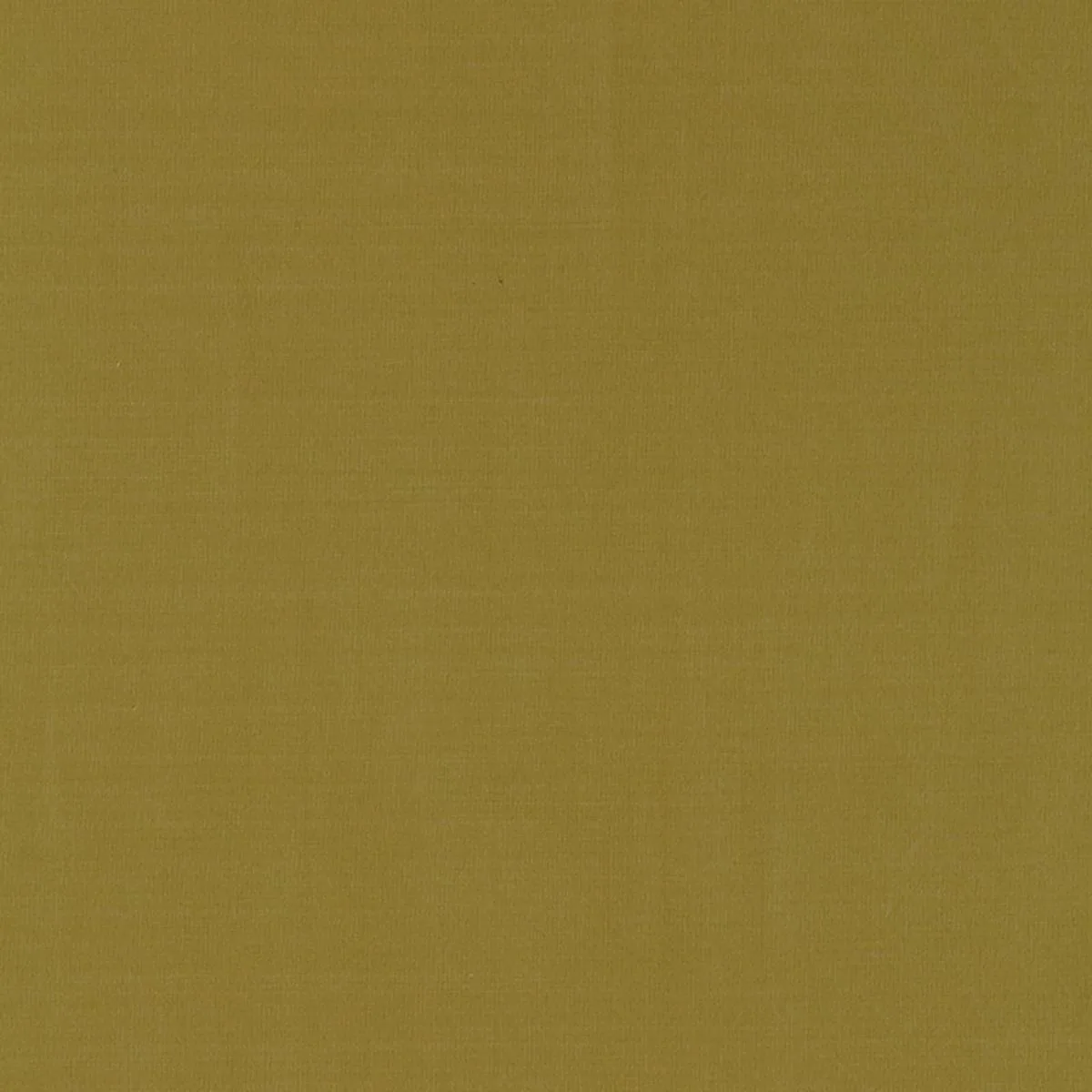 63910 Masaccio Taffeta Lichen Fabric
